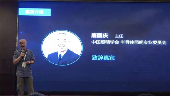 中國照明學會半導體照明專業委員會主任唐國慶先生