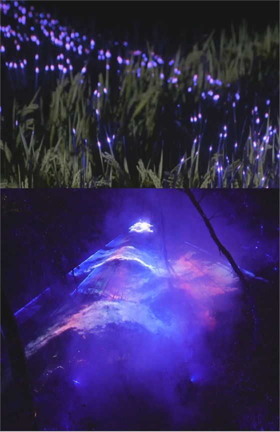 夜景亮化設(shè)計