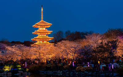 薛剛 | 中國傳統(tǒng)建筑之幻化——老樹新花
